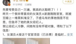 娱乐圈猛料爆料是什么意思,揭秘明星幕后真相