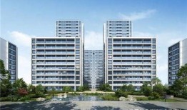 阿里前妻爆料真实情况视频,阿里前妻爆料视频背后的真实内幕